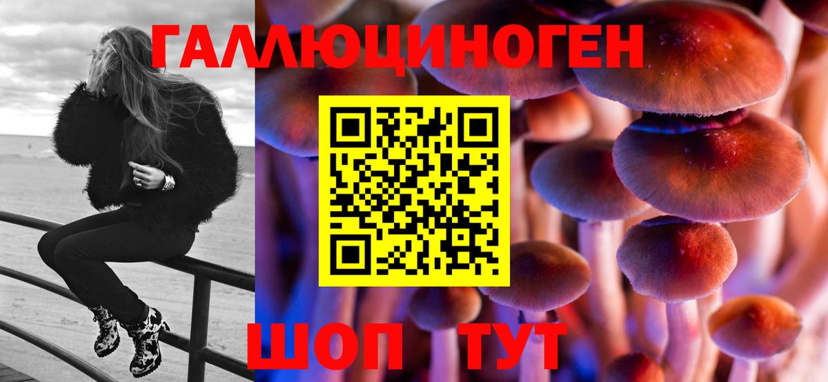 Псилоцибиновые грибы прущие грибы Магадан